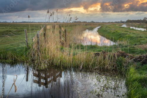 ditches with wooden fence between reeds in nature reserve Alde Feanen in Friesland, the Netherlands photo