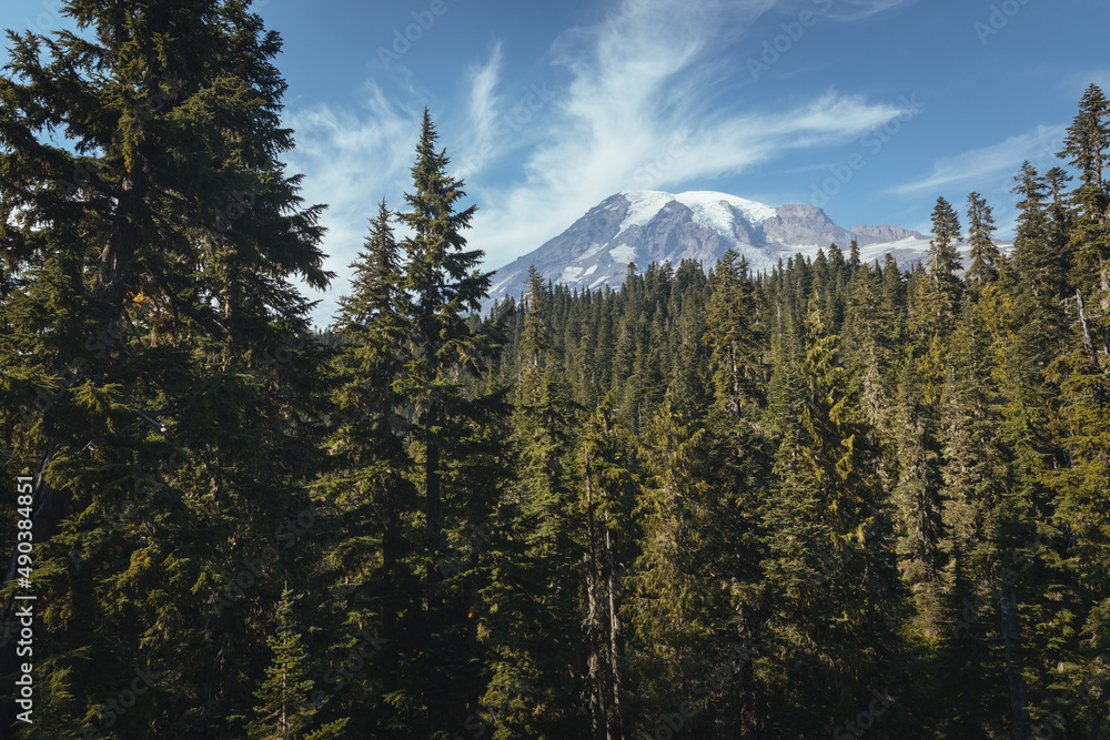 Mt Rainier National Park, Washington, USA.