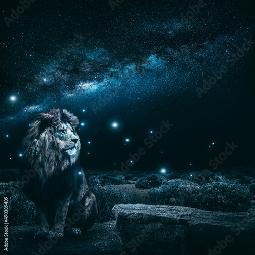 Mystischer Löwe in der Nacht photo