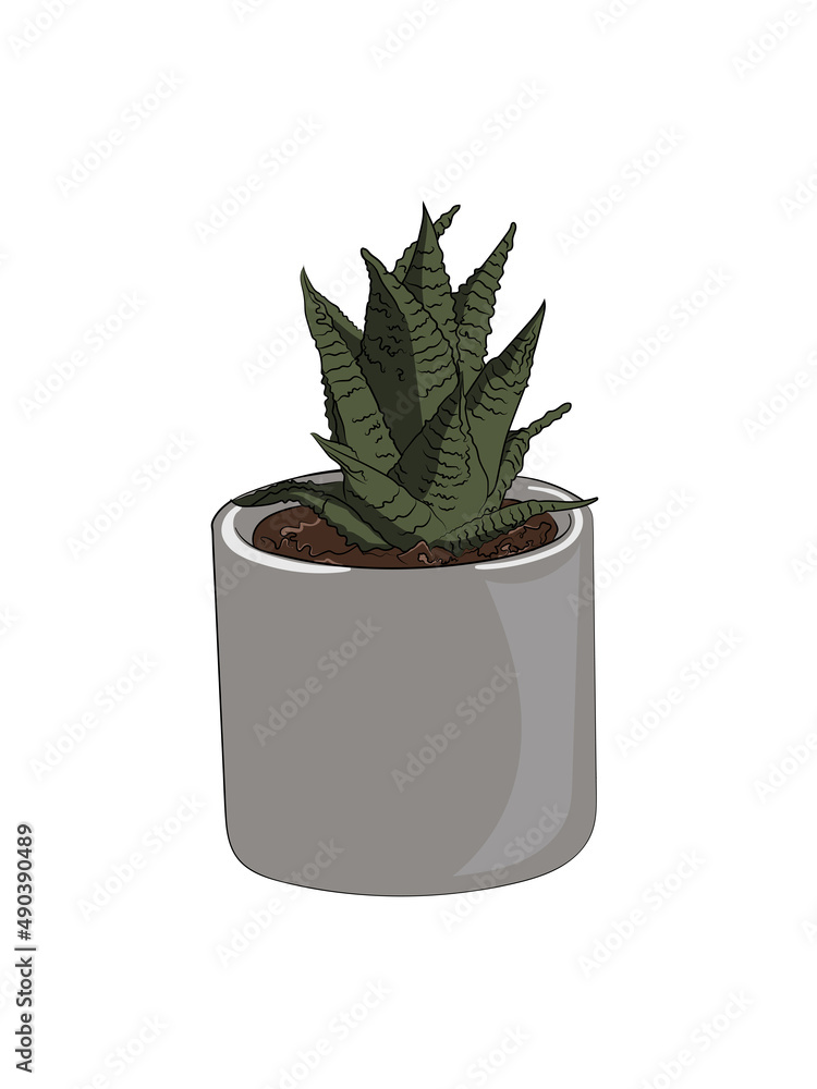 Plant Plant
