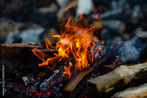 Flames of fire close up. Campfire in nature. A blurred chocks background.