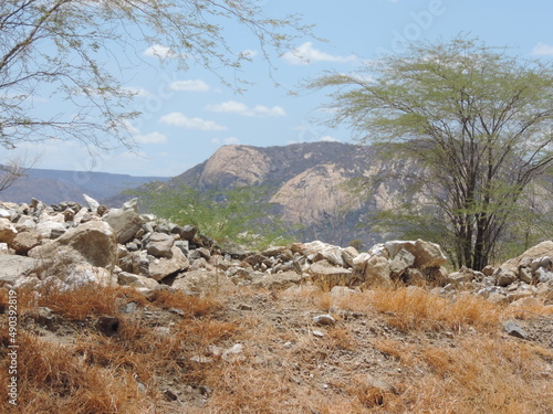paisagem sertão