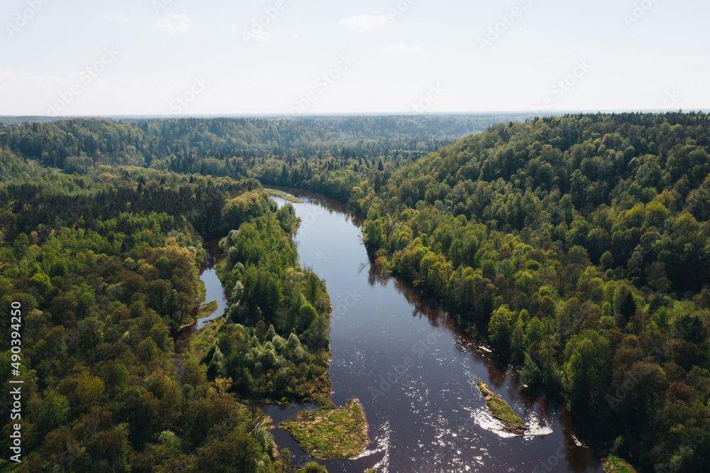 Aerial view of river in the forest valley Aerial view of river in the forest valley