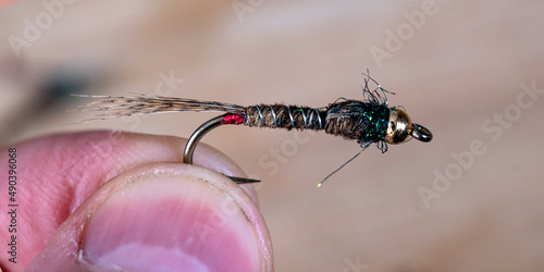 Gold Head Pheasant Tail Nymph Fly fishing Fly for trout and other species of fish