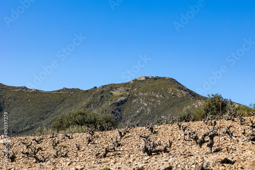Vue sur le Fort Dugommier dans le Massif des Albères près de Collioure (Occitanie, France) photo