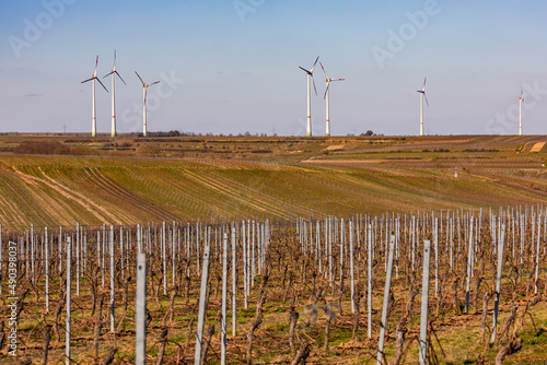 Windenergie und Windräder als auch Weinreben sind nebeneinander Teil der Energiewende in Deutschland photo