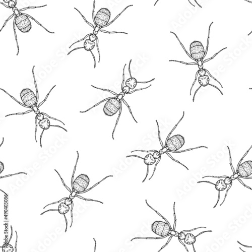 Seamless pattern of monochrome ants illustration. Vector illustration template