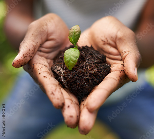 Hes got a nurturing touch. Cropped shot of a growing plant in a mans hands.