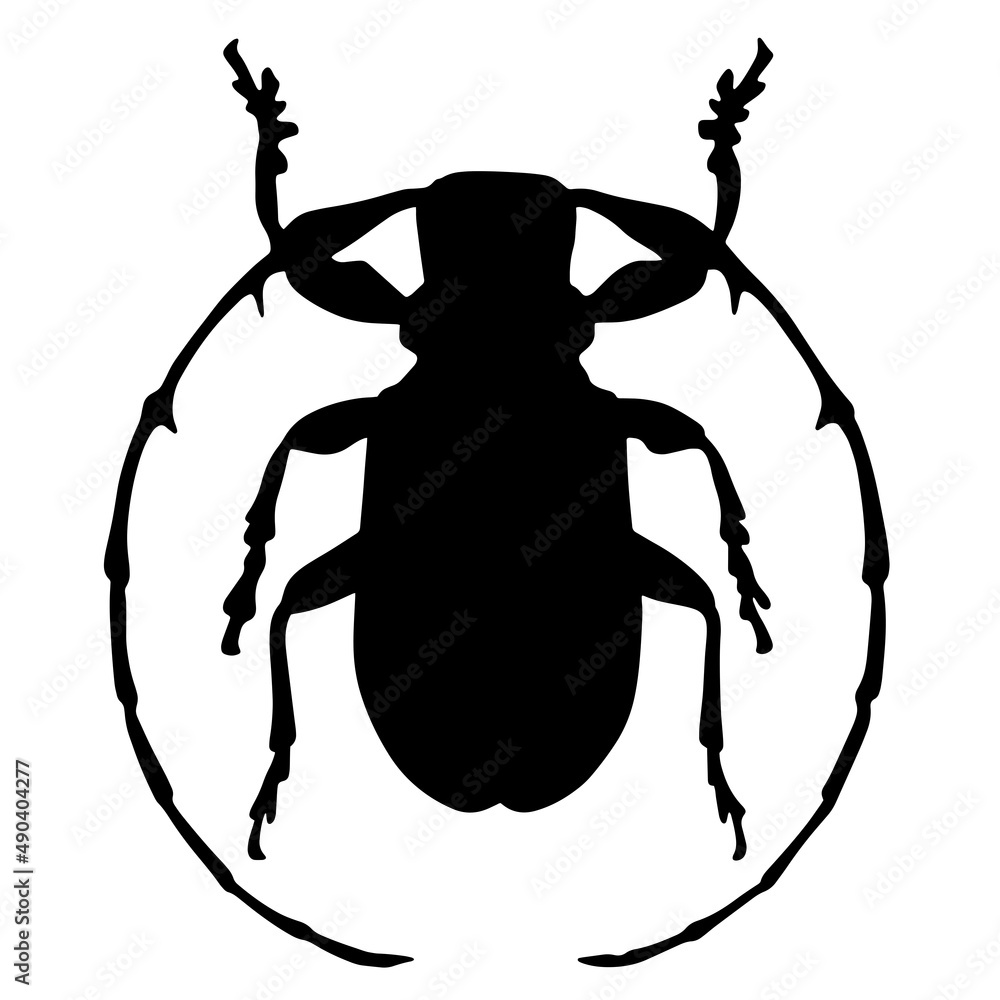 The woodcutter beetle. Bark beetle is a pest of the forest. An insect with long whiskers. Flying inhabitants of the tropics or taiga The woodcutter beetle. Bark beetle is a pest of the forest. An insect with long whiskers. Flying inhabitants of the tropics or taiga