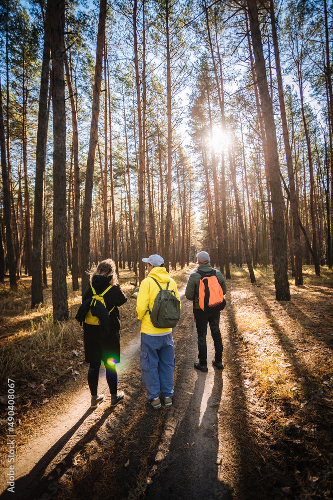 Fototapeta premium Three young students walking in the pine forest in beautiful sunlight