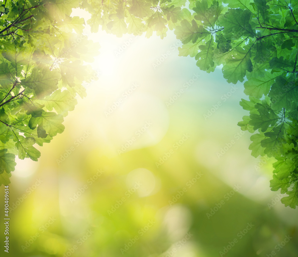 Green leaves on blurred background with beautiful bokeh and copy space for text