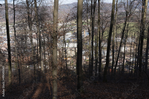 Spring Reborn  Wiedergeborene Fr  hling  Europa  Switzerland  Mountain  Forest  Sunny day  Lonely Walk