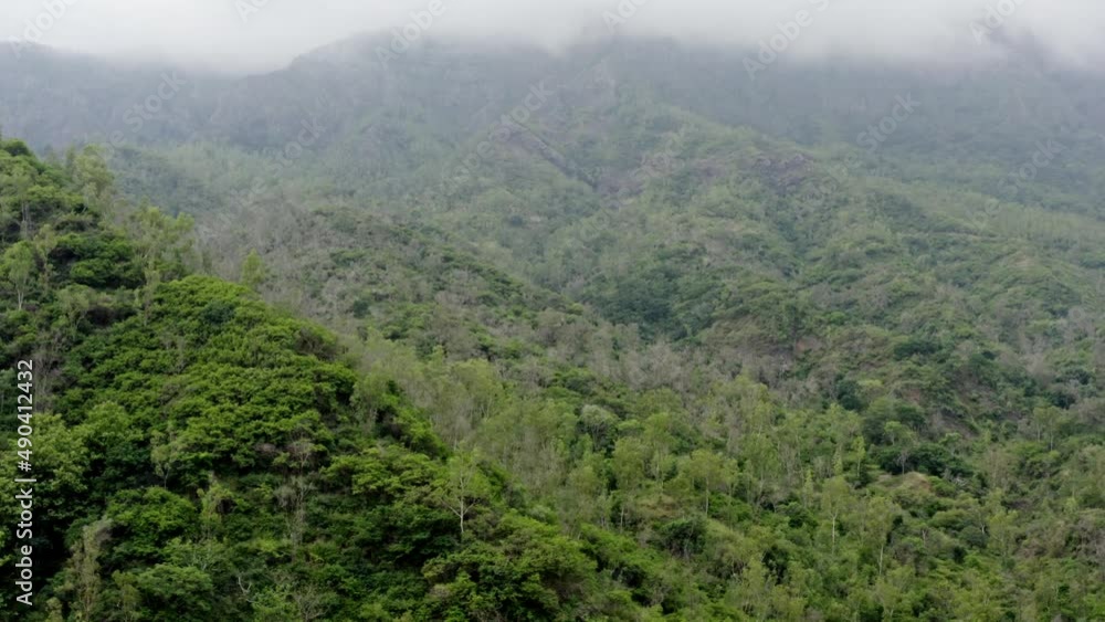 aerial drone flight over Cape Verde forest in Africa cap verden aerial drone flight over Cape Verde forest in Africa cap verden