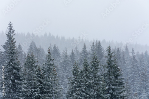 View of the forested hills in the fog