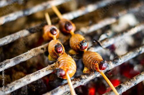 Palm worms getting ready to eat. A type of palm maggot called 