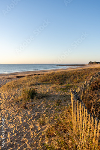 Rivedoux-plage Beach through dunes in ile de re in french country island