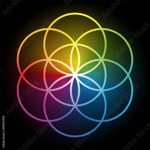 Rainbow colored Seed of Life, over black. Geometrical figure, composed of 7 same sized overlapping circles, forming a hexagonal symmetrical structure, and the prestage of Flower of Life. Illustration.