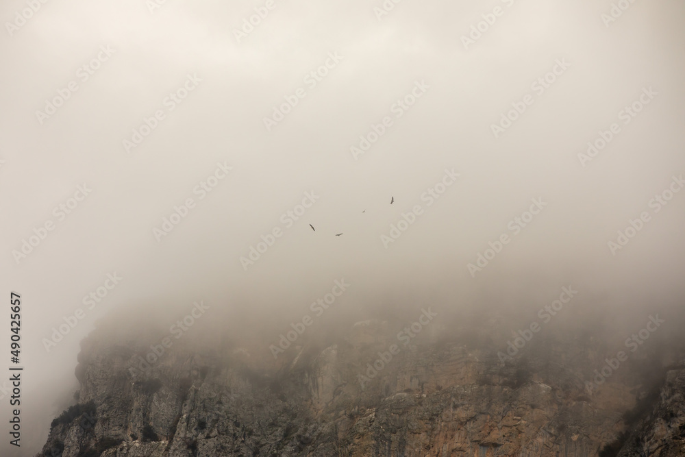 Fototapeta premium Mountain trails in the mist during winter time