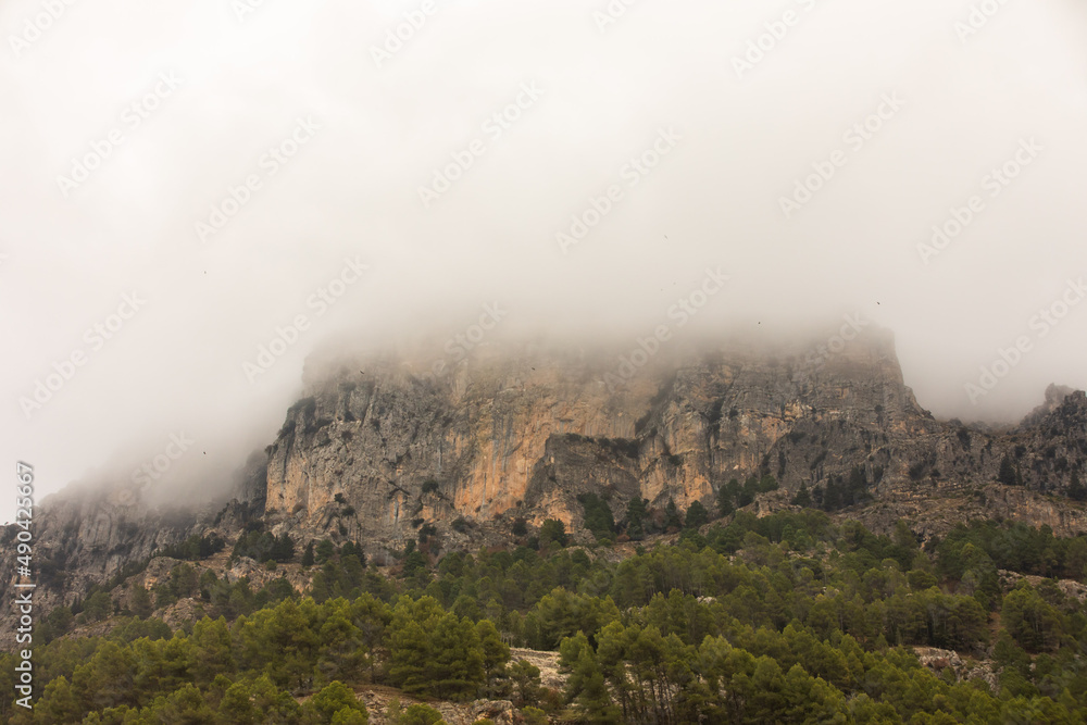 Mountain trails in the mist during winter time