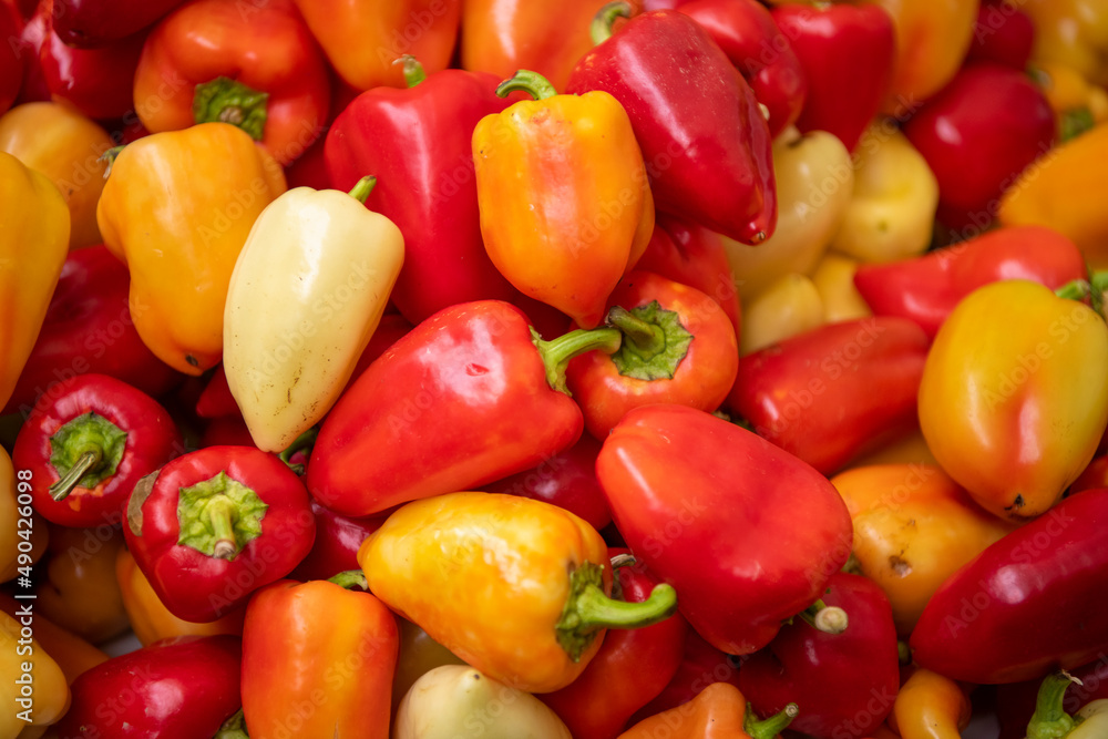 Pile of colorful sweet bell peppers at street market, freshly harvested. Natural background. Pile of colorful sweet bell peppers at street market, freshly harvested. Natural background.