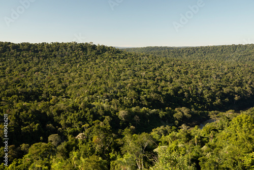 The green jungle. Lush vegetation background. View of the tropical rainforest trees foliage beautiful texture and pattern.