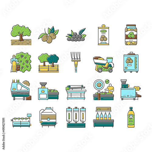 Olive Production And Harvesting Icons Set Vector .