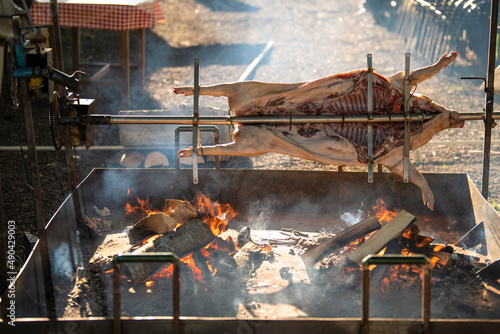 A young suckling pig on a skewer. Whole roasted pig on a rotating steel spit with fire and smoke. Traditional grill of Serbia  in Balkans  countryside.
