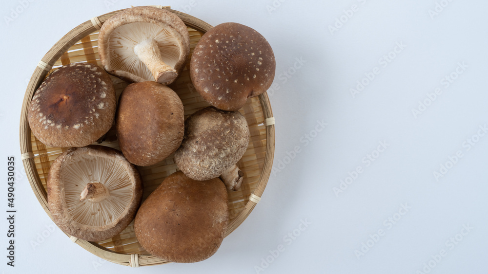 椎茸 椎茸