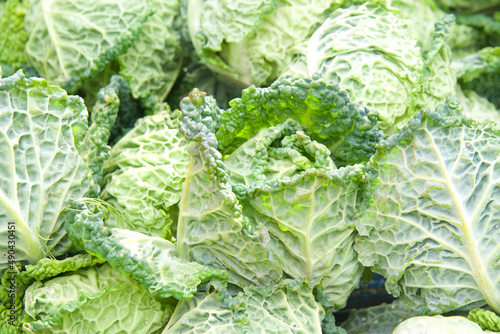 Close up of heads of small kale at farmer's market for sale.