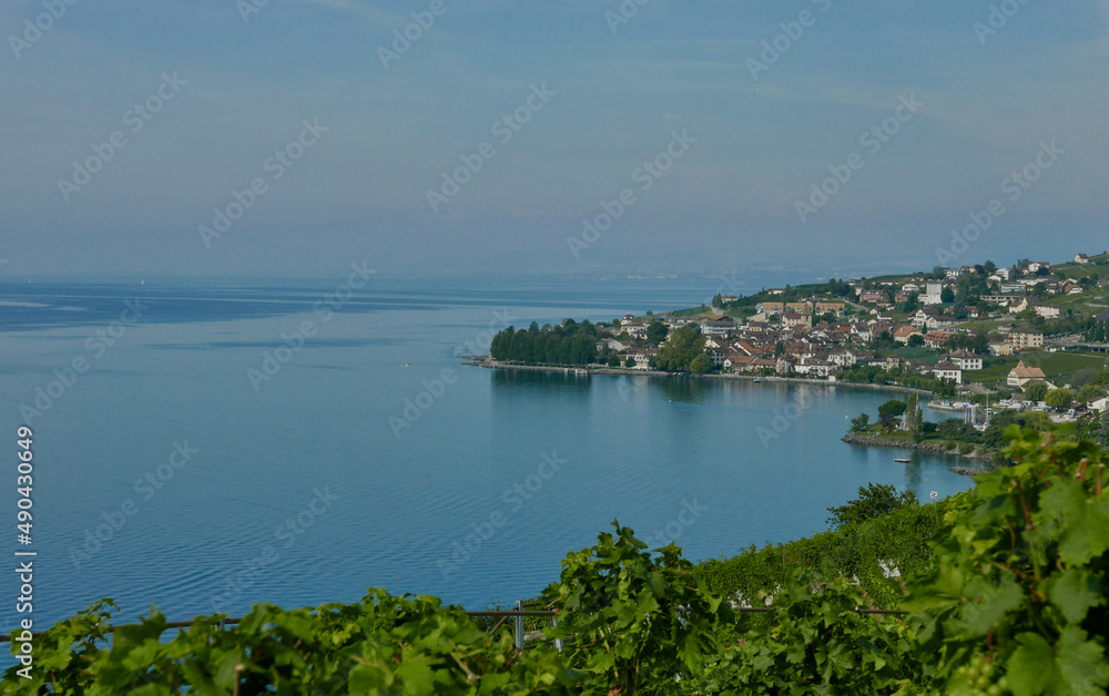 Lavaux Vineyards along the lake Geneva shoreline from Vevey to Lausanne
