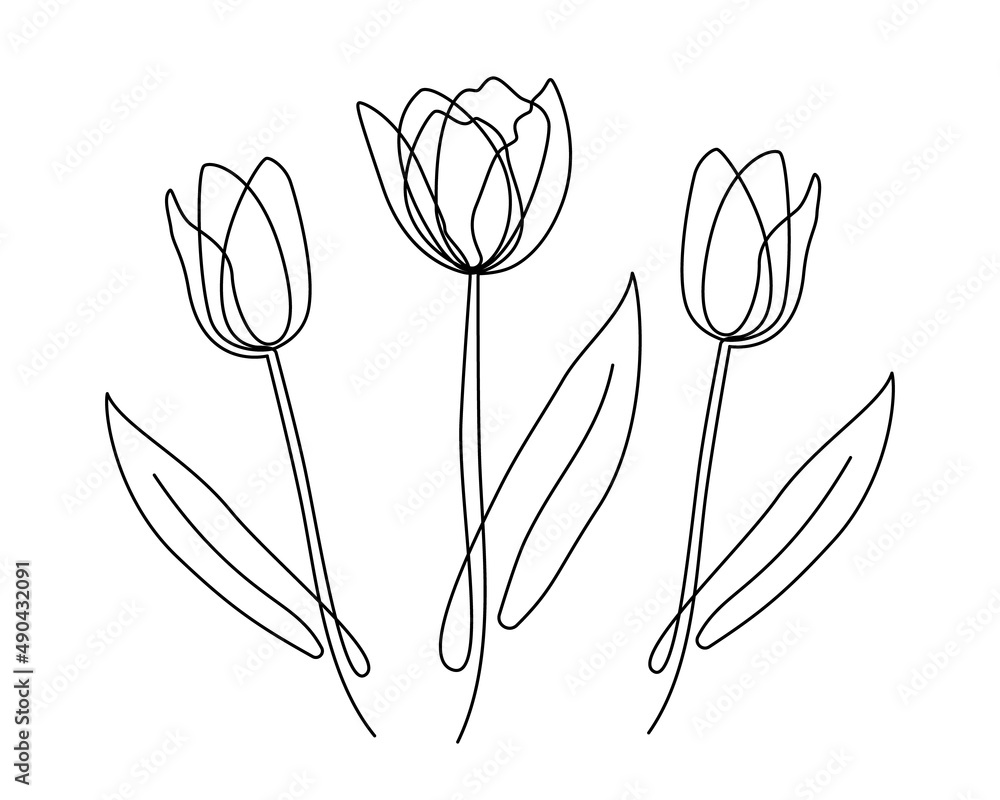 Tulips flowers continuous one line art. Minimalist contour drawing ...