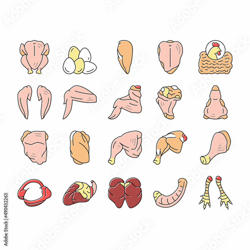 Chicken Animal Farm Raw Meat Food Icons Set Vector .