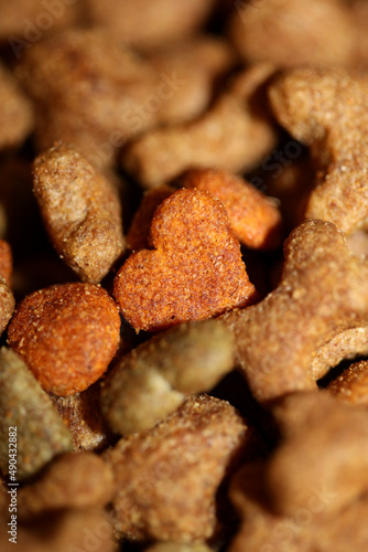 Dog dry healthy food from purina close up background high quality big size prints