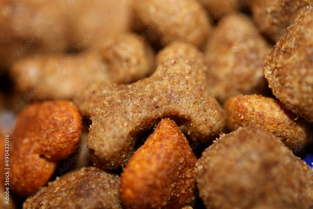 Dog dry healthy food from purina close up background high quality big size prints Dog dry healthy food from purina close up background high quality big size prints