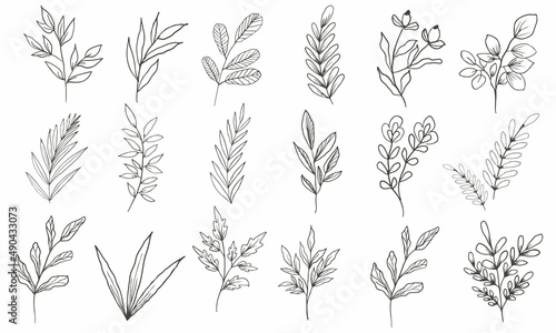 Hand drawn floral herbs set elements