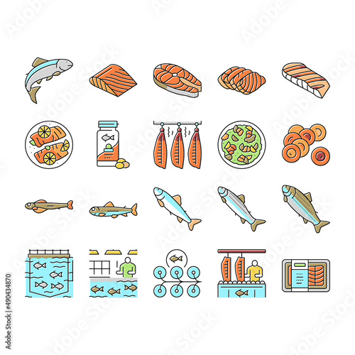 Salmon Fish Delicious Seafood Icons Set Vector .