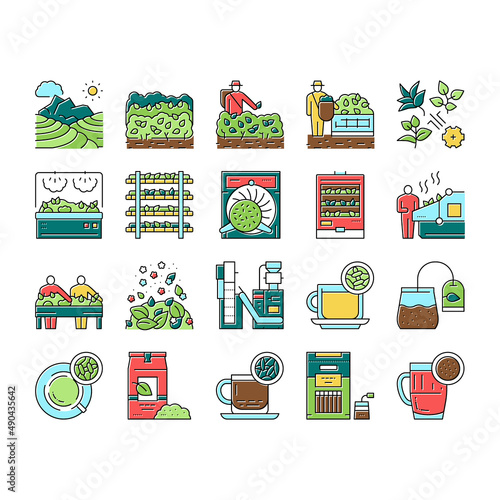 Tea Drink Production Collection Icons Set Vector .
