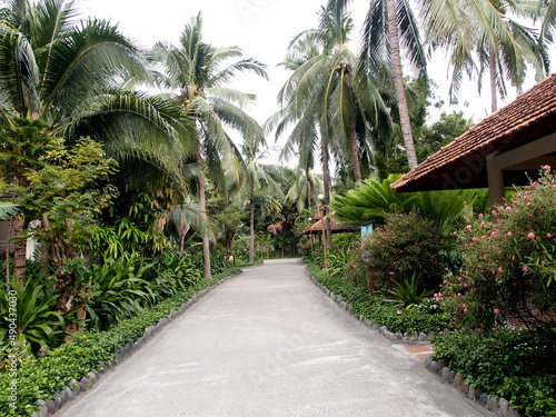 Bungalow in the tropical garden
