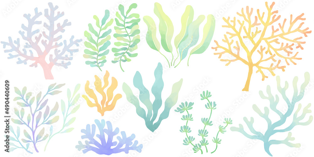 サンゴ 海藻 わかめ メルヘンカラー セットイラスト Stock Illustration Adobe Stock