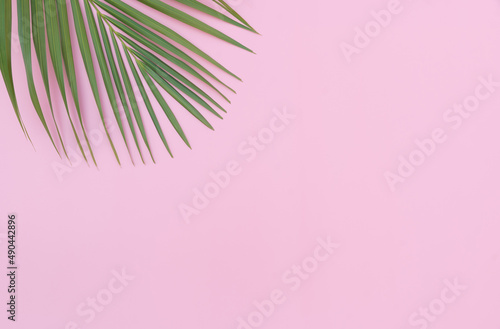 Tropical leaves is placed on a pink backdrop with part of the leaf layout and copy space.