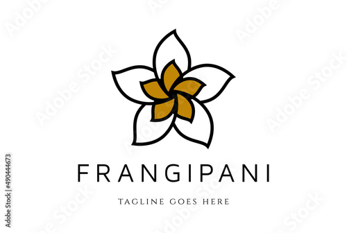 Simple Minimalist Geometric Star Plumeria Frangipani Flower Logo Design Vector