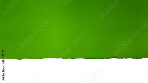 Torn green paper on white background. Concept for presentation and education