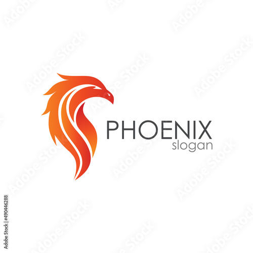 Phoenix With Fire Logo Template