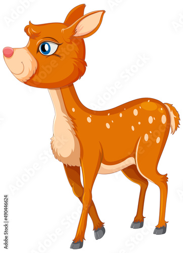 A cute deer on white background