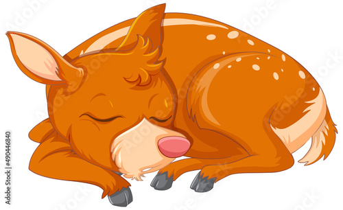 A cute deer on white background