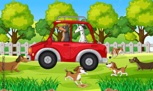 Dogs driving in red car in park