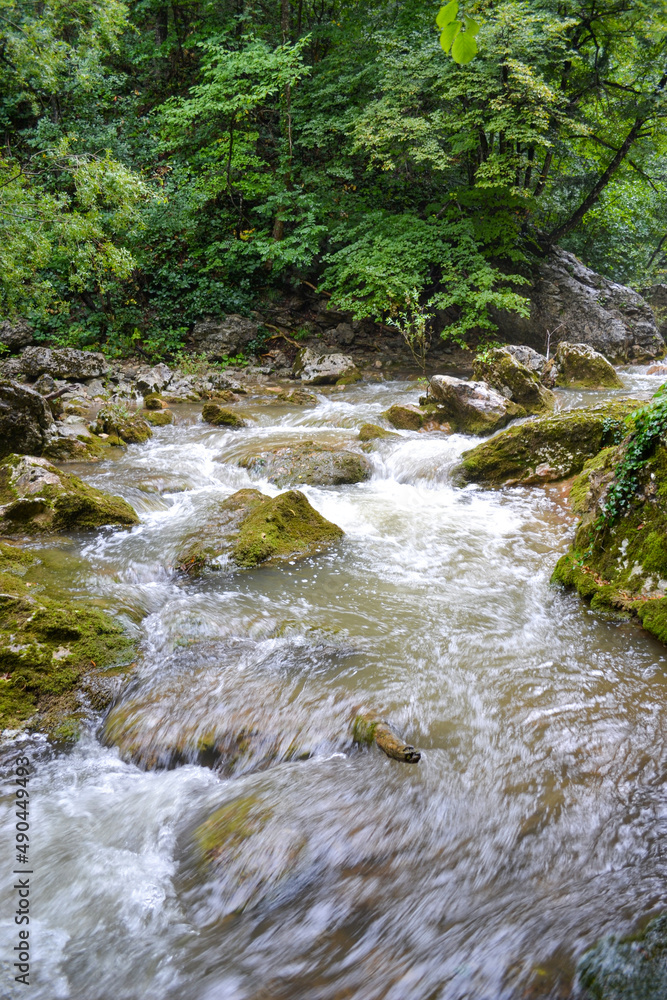 Fototapeta premium mountain river in the forest