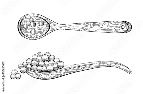Caviar spoon. Etching sketch caviar wood spoon. Wooden ladle shovel with red salmon fish eggs. Vector luxury salted snack. Hand drawn line sandwich design. Black cartoon engraved drawing of sea food
