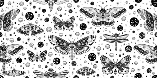 Moth butterfly pattern. Seamless moon boho vector. Celestial magic abstract mystic design. Gothic witch drawing. Print with luna astrology moth pattern. Occult animal illustration mystical background