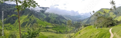 Panorama of green Cocora Valley with white clouds, Salento, Columbia photo